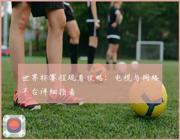 世界杯赛程观看攻略：电视与网络平台详细指南