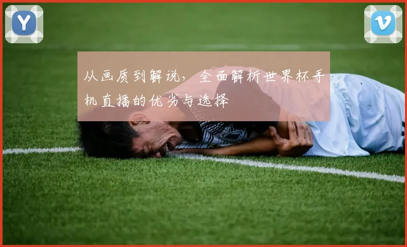 从画质到解说，全面解析世界杯手机直播的优劣与选择