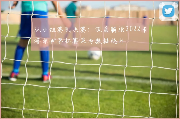 从小组赛到决赛：深度解读2022卡塔尔世界杯赛果与数据统计